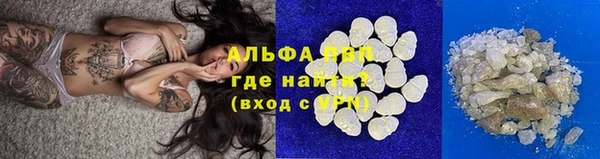 ешки Богданович
