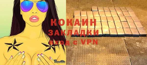 тгк Бородино