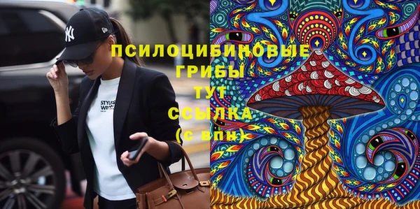 ешки Богданович