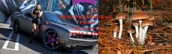 ешки Богданович
