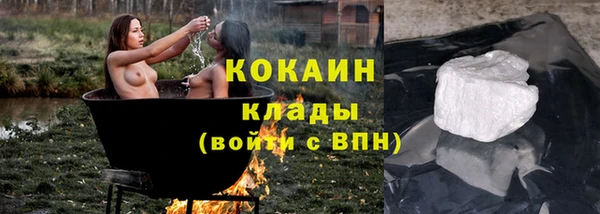 прущие грибы Богородск
